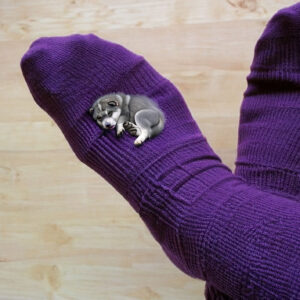 Socken